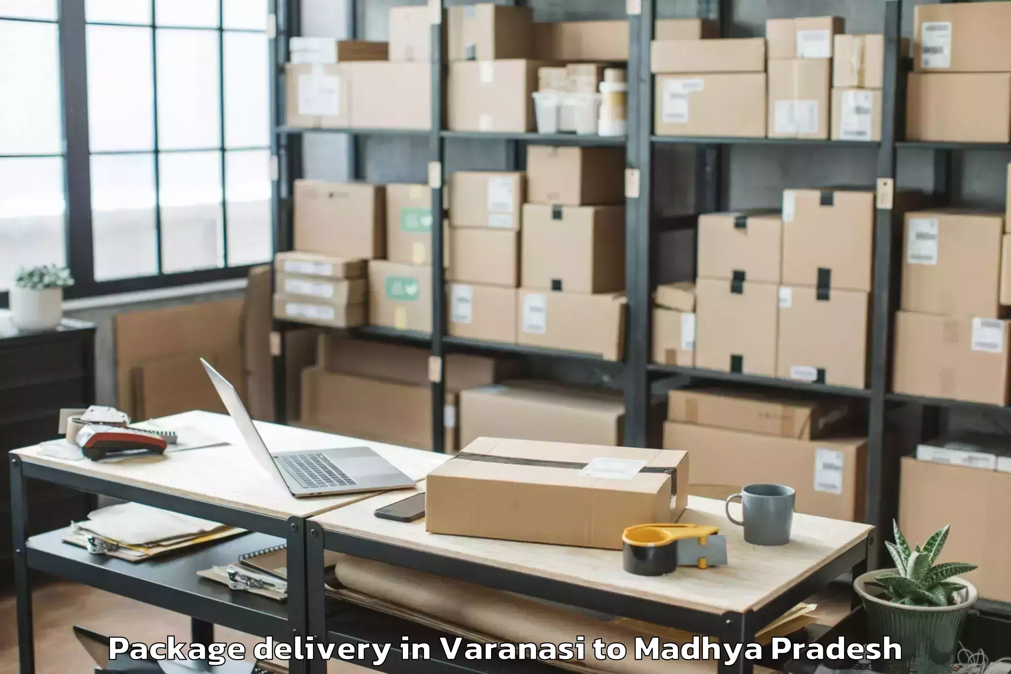 Professional Varanasi to Mhow Package Delivery